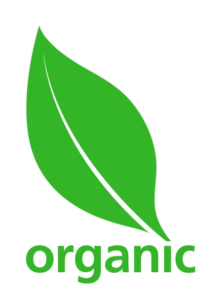 Design de logotipo de folha verde orgânica — Vetor de Stock