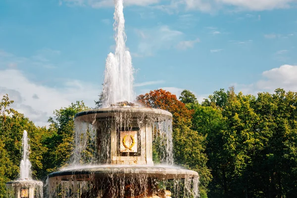 Peterhof Palace Jardim Fonte São Petersburgo Rússia — Fotografia de Stock