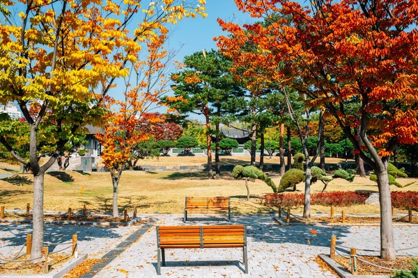 Herbst Hyowon Park Suwon Korea — Stockfoto