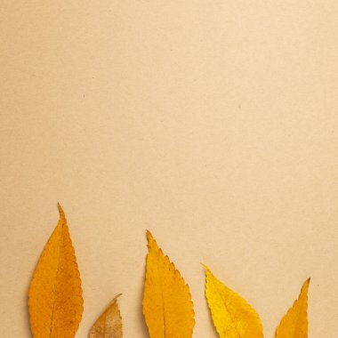 Kahverengi arka planda sonbahar kuru yaprakları. düz alan, üst görünüm, kopyala boşluk