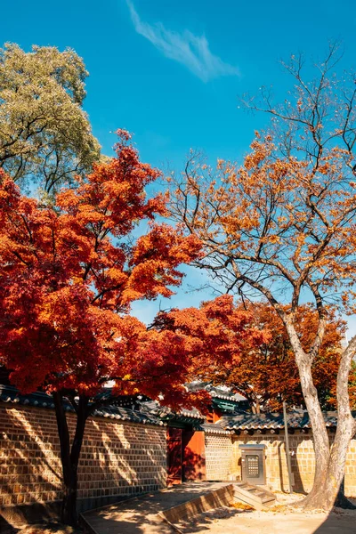 Deoksugung Palace Herbst Seoul Korea — Stockfoto