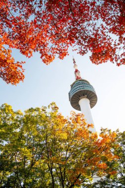 Kore 'de sonbahar akçaağaç yapraklı Namsan Seul Kulesi