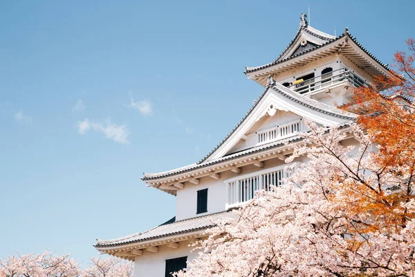 日本滋贺的长贺城堡 开满了樱花 — 图库照片