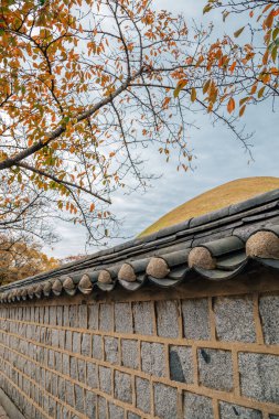 Daereungwon mezarları Kore 'nin Gyeongju şehrinde sonbaharda engellenmiş.