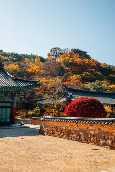 Herfst Van Tongdosa Tempel Unesco Wereld Erfgoed Yangsan Korea — Stockfoto