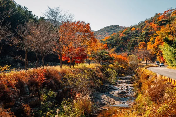 Otoño Del Bosque Montaña Del Templo Tongdosa Yangsan Corea — Foto de Stock