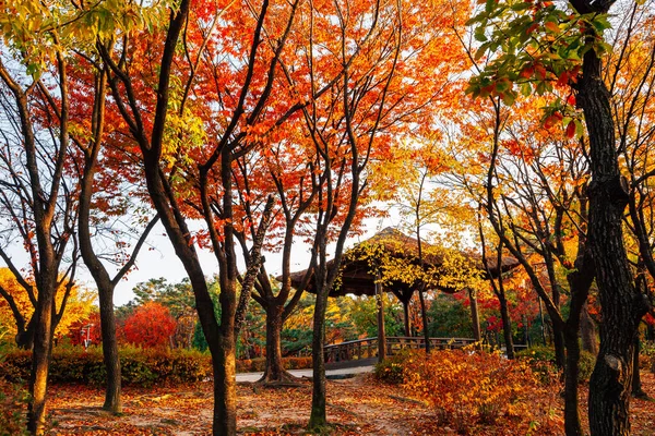 Parque Namsangol Pabellón Tradicional Coreano Con Bosque Arce Otoño Seúl —  Fotos de Stock