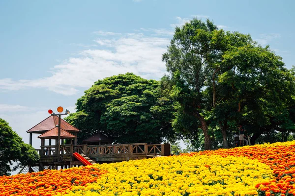 Playground with colorful flower field at Nokonoshima island park in Fukuoka, Japan