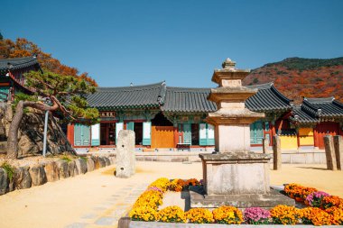 Busan, Kore 'deki Beomeosa Tapınağı Sonbaharı