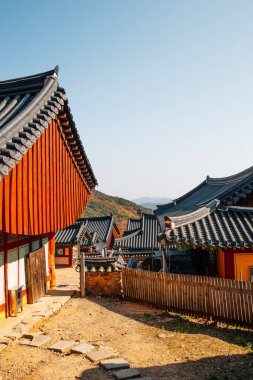 Busan, Kore 'deki Beomeosa Tapınağı Sonbaharı