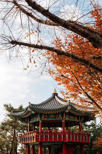Haewoljeong Koreaans Traditioneel Paviljoen Met Herfstbladeren Haeundae Dalmaji Gil Moontan — Stockfoto