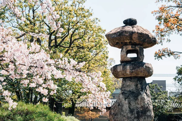 Японська Традиційна Кам Яна Лампа Квітами Вишнями Храмі Тодзі Кіото — стокове фото