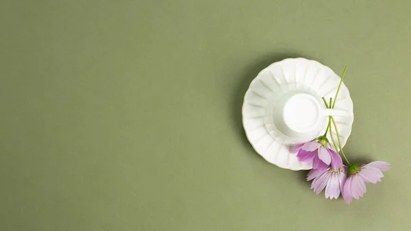 Copo Branco Caneca Vazia Com Flores Cosmos Comuns Fundo Verde — Fotografia de Stock