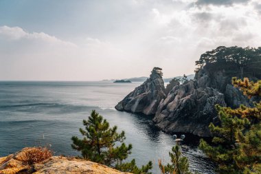 Kore, Yangyang 'da çam ağaçları olan Hajodae denizi ve kayalık uçurumlar
