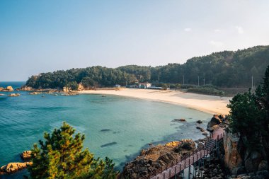 Kore, Yangyang 'daki Hajodae gözlemevinden zümrüt plajının panoramik manzarası.