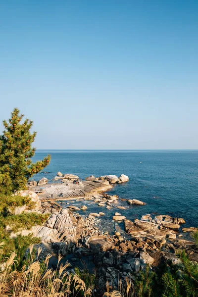 Seascape Kameny Chrámu Huhuam Yangyang Korea — Stock fotografie