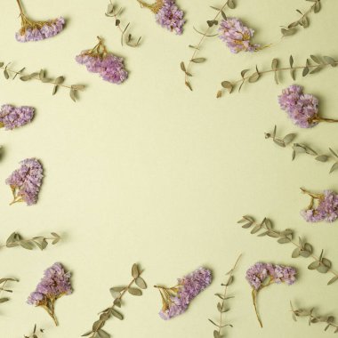 Mor istakoz çiçekleri ve okaliptüs yaprakları yeşil arka planda. düz alan, üst görünüm, kopyala boşluk