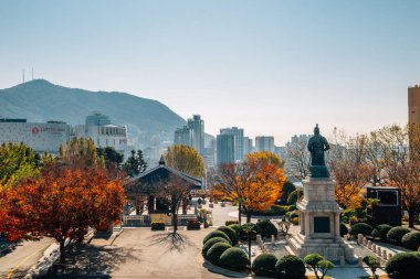 Busan, Kore - 11 Kasım 2020: Sonbaharda Yongdusan Parkı manzarası