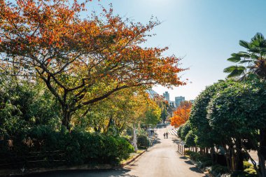 Busan, Kore 'de sonbaharda Yongdusan Parkı