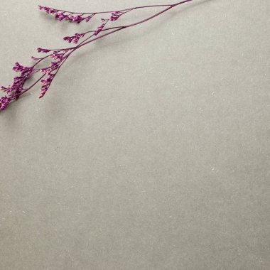 Gri arka planda pembe, mavi, kuru çiçekler. düz alan, üst görünüm, kopyala boşluk