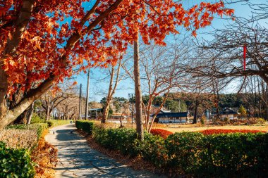 Heo Gyun ve Heo Nanseolheon Anıt Parkı Gangneung, Kore 'de sonbaharda