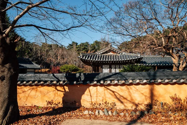 Gangneung Korea Prosince 2020 Heo Gyun Heo Nanseolheon Memorial Park — Stock fotografie