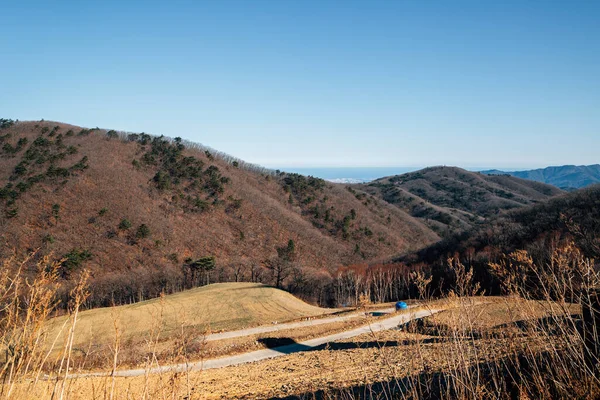 Vista Panorámica Del Pueblo Montaña Anbandegi Invierno Gangneung Corea — Foto de Stock