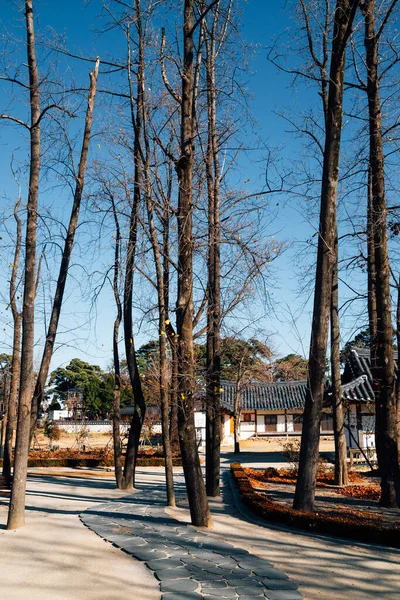 Heo Gyun Heo Nanseolheon Memorial Park Winter Gangneung Korea — Stockfoto