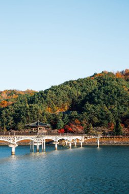 Andong, Kore 'de Sonbaharda Nakdong nehri üzerinde Woryeonggyo Köprüsü