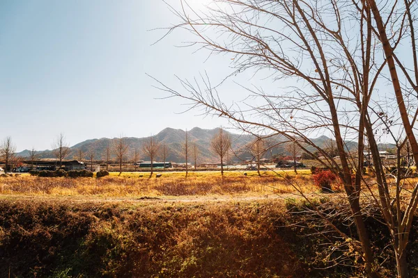 安東の秋の安東Haoe民俗村 — ストック写真