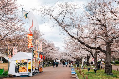 Osaka, Japonya - 3 Nisan 2019, Expo '70 Anma Parkı' nda kiraz çiçekleriyle dolu sokak yemekleri tezgahları