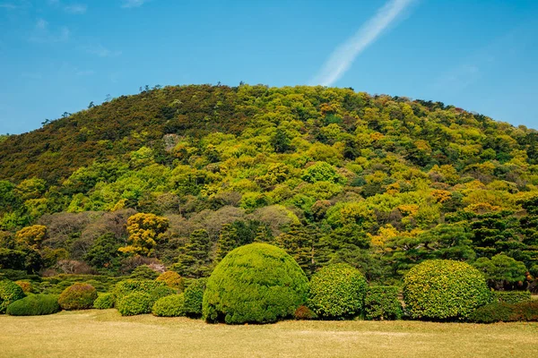 Parque Ritsurin Green Forest Hill Takamatsu Japón — Foto de Stock