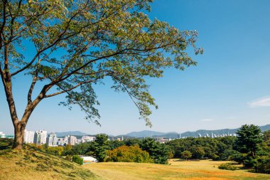 Green forest and modern buildings at Olympic park in Seoul, Korea