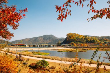 Miryang nehri ve dağı Sonbaharda Miryang, Kore 'de
