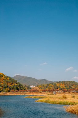 Miryang nehri ve dağı Sonbaharda Miryang, Kore 'de
