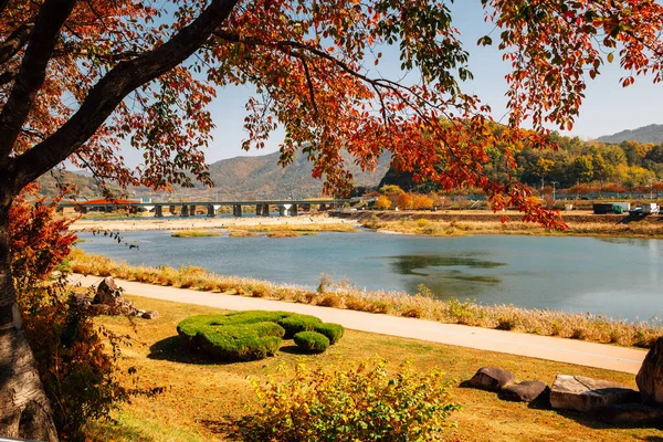 Park Riverside Miryang Jesienny Klon Miryang Korea — Zdjęcie stockowe