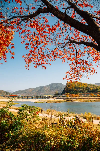 Miryang Řeka Hora Podzim Miryang Korea — Stock fotografie