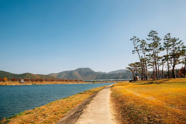 Παραθαλάσσιο Πάρκο Μιλ Γιανγκ Φθινόπωρο Στη Μιλ Γιανγκ Της Κορέας — Φωτογραφία Αρχείου