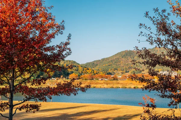 Parque Junto Río Miryang Otoño Miryang Corea — Foto de Stock