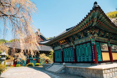 Cheonan, Kore - 28 Nisan 2020 Baharda Gakwonsa Tapınağı