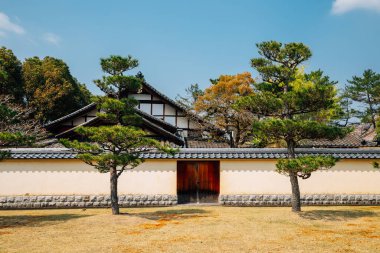 Japonya, Nara 'daki Yakushi-ji tapınağı.