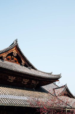 Nara 'daki Hasedera Tapınağı, Japonya