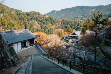 Japonya, Nara 'daki Hasedera Tapınağı' nın panoramik manzarası