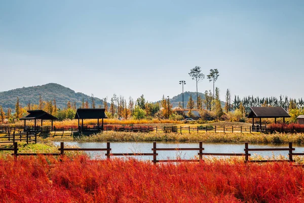 Autumn of Gaetgol Eco Park in Siheung, Korea