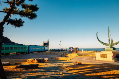 Gangneung, Kore - 8 Aralık 2020 Jeongdongjin Sahil Zaman Müzesi