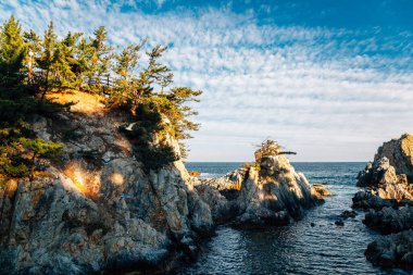 Kore, Samcheok 'taki Jangho Limanı denizi ve kayaları