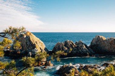 Kore, Samcheok 'taki Jangho Limanı denizi ve kayaları