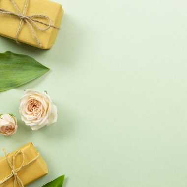 Hediye kutuları, gül, yeşil arka planda taze yaprak. Yıldönümü. düz alan, üst görünüm, kopyala boşluk