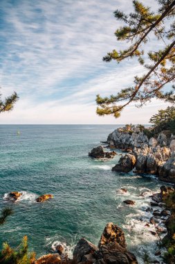 Donghae, Kore 'deki Chuam plajı ve kayaların manzarası.