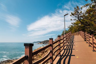 Seonyudo Adası, Dulle-gil. Gunsan, Kore 'de deniz ve patika.